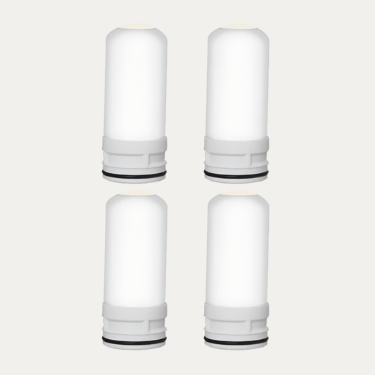Replacement Filters 1 Year - AviaPure