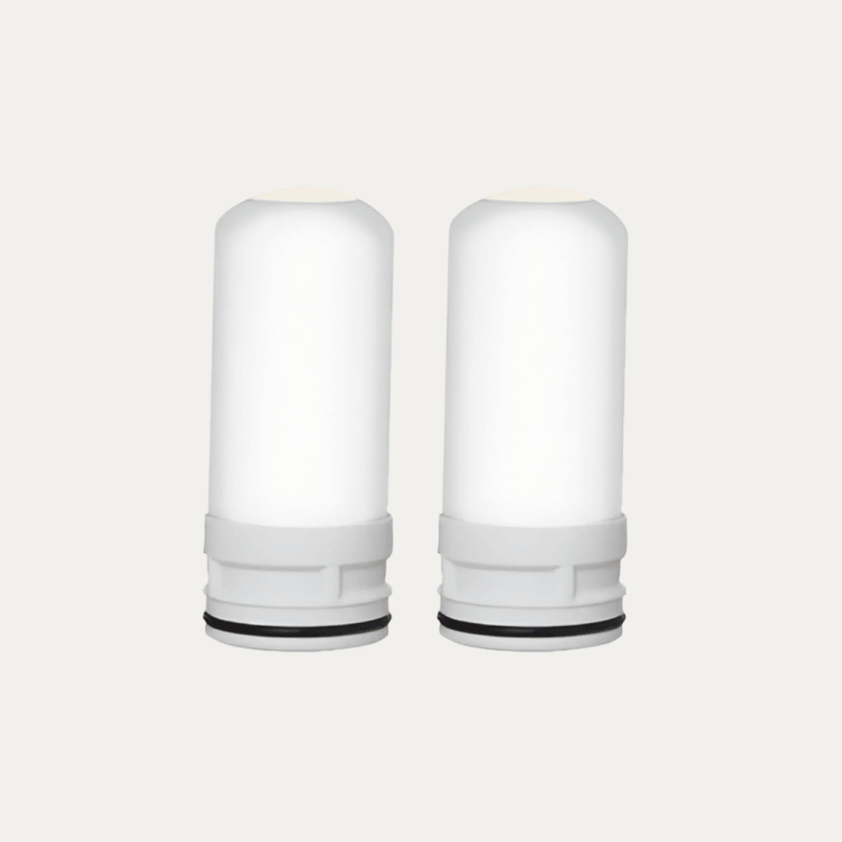 Replacement Filters 6 Months - AviaPure