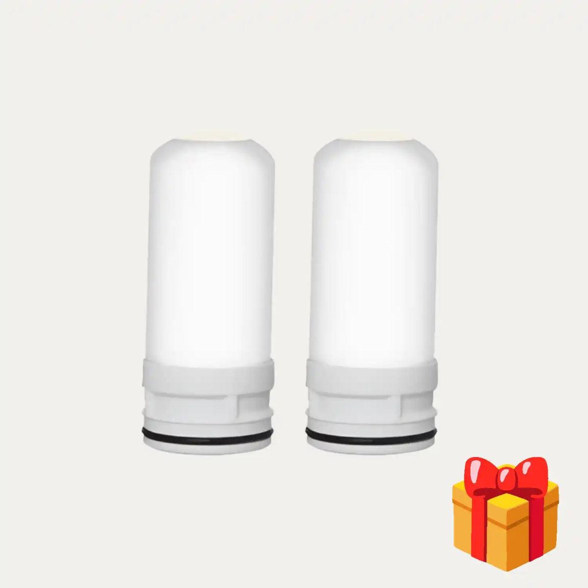 Replacement Filters 6 Months (FREE) - AviaPure