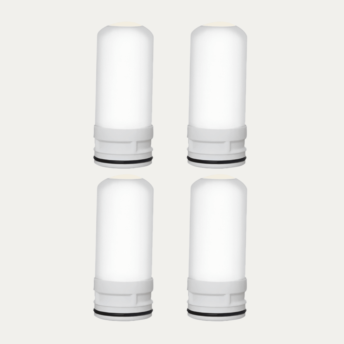 Replacement Filters 1 Year - AviaPure